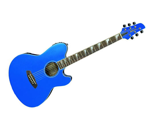 IBANEZ TCY SERIES